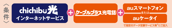 
							＜条件＞
							　chichibu光 インターネットサービス ＋ ケーブルプラス光電話 ＋ auスマートフォン または auケータイ でご指定のデータ定額サービス等のご加入